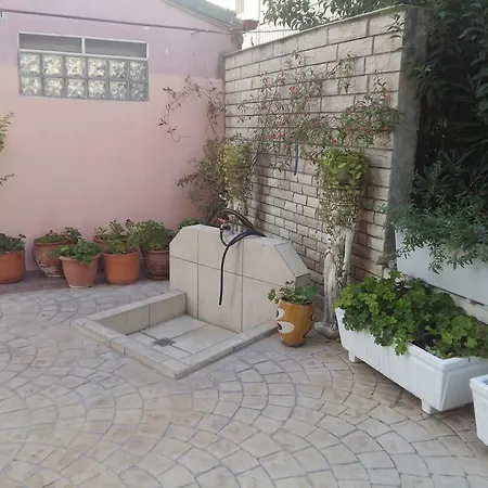 Fiori * Paralía