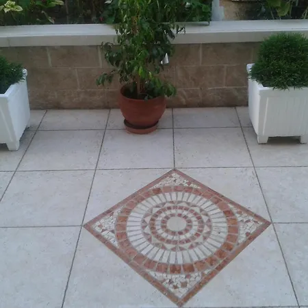 Fiori Daire Paralía