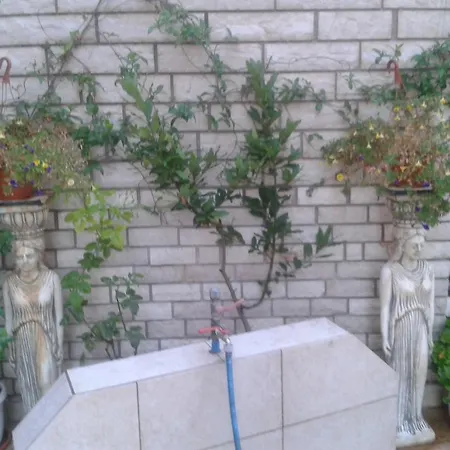 Fiori * Paralía
