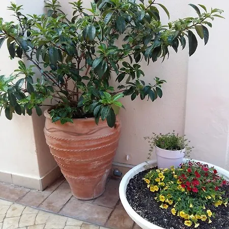 Daire Fiori Paralía