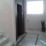 Fiori Paralía