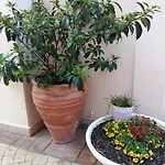 아파트 Fiori Paralía