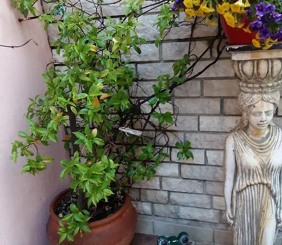 Fiori Apartment *
