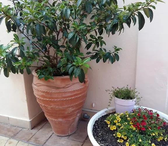 Apartment Fiori Paralia Katerinis